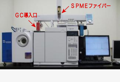 ガスクロマトグラフ質量分析計(GC/MS)