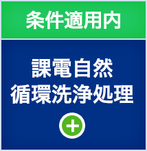 課電自然循環洗浄処理
