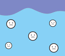 微生物による分解過程