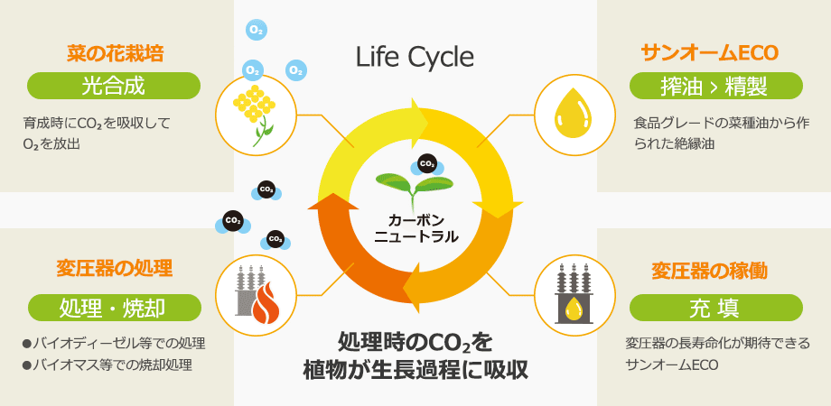 ライフサイクル