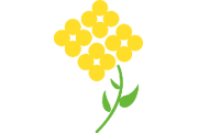 環境にやさしい天然素材